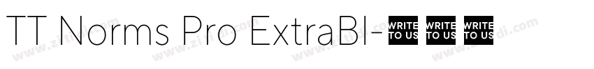 TT Norms Pro ExtraBl字体转换 TT Norms Pro ExtraBl字体转换
